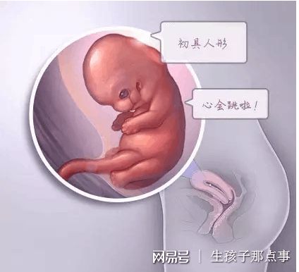 PGT三代试管
